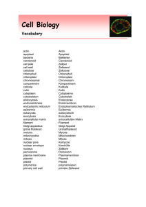 Cell Biology - BROCKHAUSEN Buch