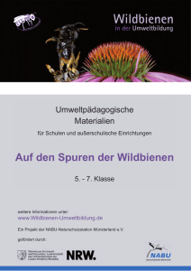 Auf den Spuren der Wildbienen - Wildbienen in der Umweltbildung