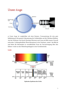 as Unser Auge ist vergleichbar mit einer Kamera. Voraussetzung für