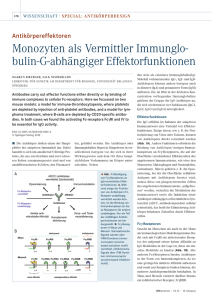 Monozyten als Vermittler Immun globu lin-G