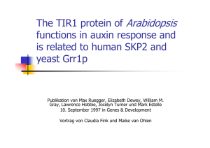 The TIR1 protein of Arabidopsis The TIR1 protein of