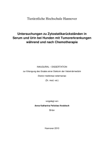 Untersuchungen zu Zytostatikarückständen in Serum und Urin bei