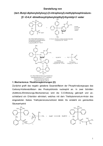 Nucleosid-Phosphinat - carsten