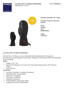 Lenz Heat Glove 3.0 Mittens Handschuhe