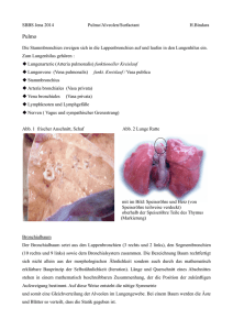 SBBS Jena 2014 Pulmo/Alveolen/Surfactant H.Bindara