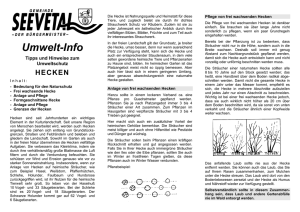 Infoblatt Hecken - Gemeinde Seevetal