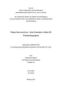 Fetale Herzvolumina – eine Evaluation mittels 3D Echokardiographie