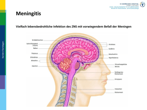Meningitis - St. Bernhard