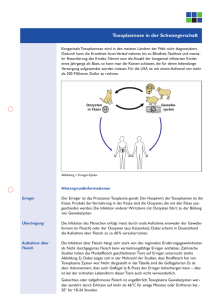 Toxoplasmose in der Schwangerschaft - dr