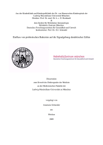 Einfluss von probiotischen Bakterien auf die Signalgebung