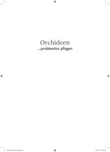 Orchideen