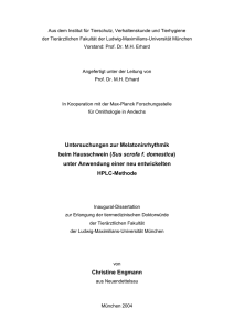Engmann, C - Elektronische Dissertationen der LMU München