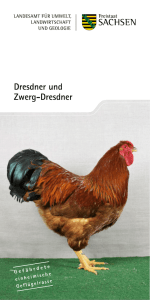 Dresdner und Zwerg-Dresdner - Publikationen
