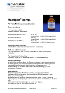 Mastipen comp - MEDISTAR Arzneimittelvertrieb GmbH