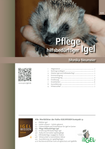 Pflege - Pro Igel