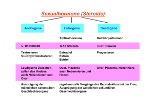Sexualhormone (Steroide)