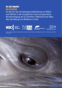 Delfinarien Bericht Gefangenschaftshaltung EU