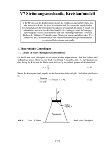 V7 Strömungsmechanik, Kreislaufmodell