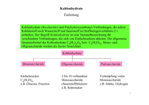 Kohlenhydrate Einleitung