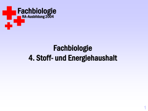 O 2 + Fachbiologie 4.2. Energiestoffwechsel RA