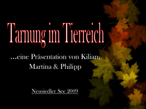 Tarnung im Tierreich - Neusiedler See 2009