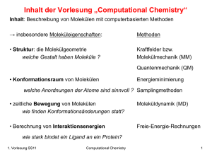 Computational Chemistry SS07