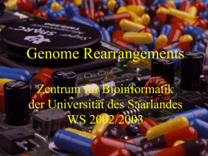 Genome Rearrangement - Universität des Saarlandes