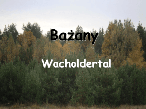 Bażany -Wacholdertal