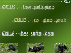 Gorillas....pps