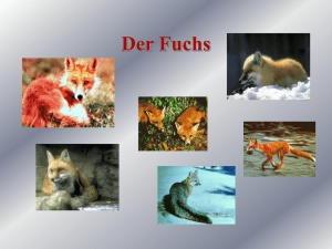 Der Fuchs - Technolink