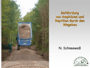 Dr. Norbert Schneeweiß / Naturschutzstation Rhinluch