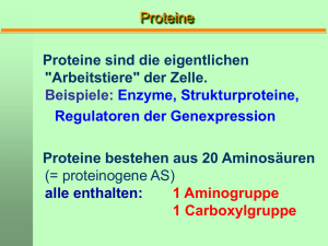 Struktur und Funktion von Proteinen - Heidelberger Life