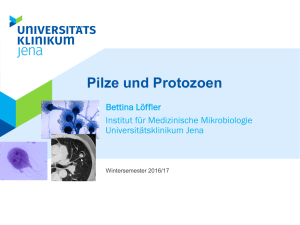 Pilze_und_Protozoen - Medizinische Mikrobiologie