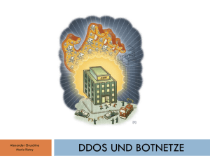 DDos und Botnetze