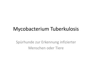 Mycobacterium Tuberkulosis