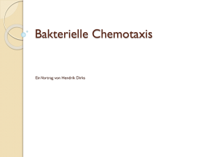 Bakterielle Chemotaxis - Fachbereich Mathematik und Informatik