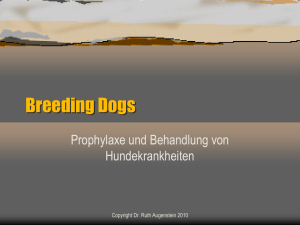 Breeding Dogs2 - Dr. med.vet. Ruth Augenstein