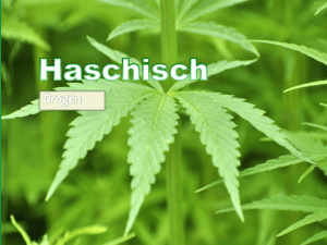 Die Droge Haschisch ist in Deutschland Verboten.