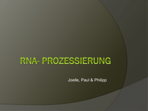 RNA- Prozessierung