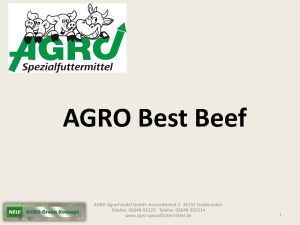 AGRO Best Beef - Agro Spezialfuttermittel