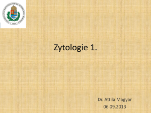Zytologie I