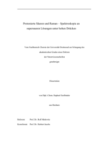 Protonierte Säuren und Raman – Spektroskopie an