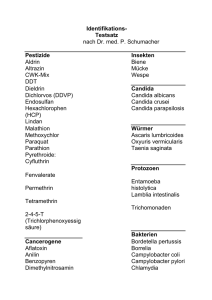 Identifikations-Testsatz