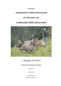 20150105 Projektarbeit schlachtfreie Milchviehwirtschaft 1