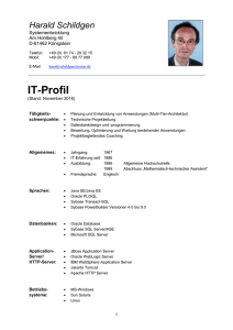 IT-Profil - Harald Schildgen