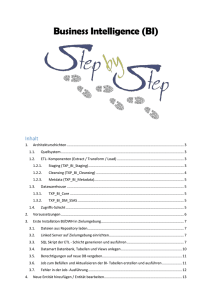 BI_Einrichtung und Anpassung