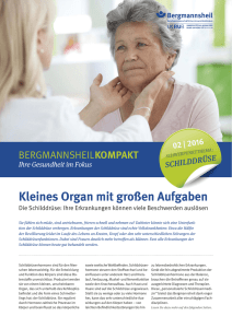 Kleines Organ mit großen Aufgaben