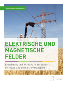 elektrische und magnetische felder