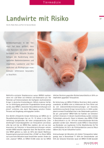 PDF-Link - MedVet