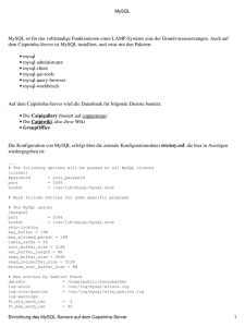 Einrichtung des MySQL-Servers auf dem Caipirinha